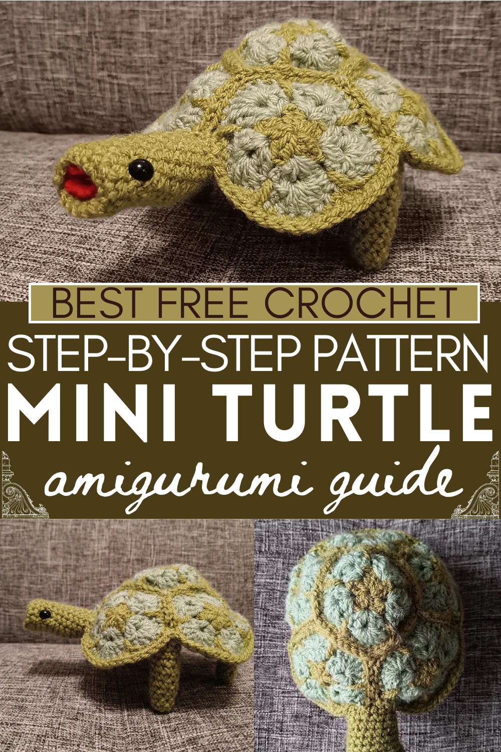 Tortellini African Flower Tortoise