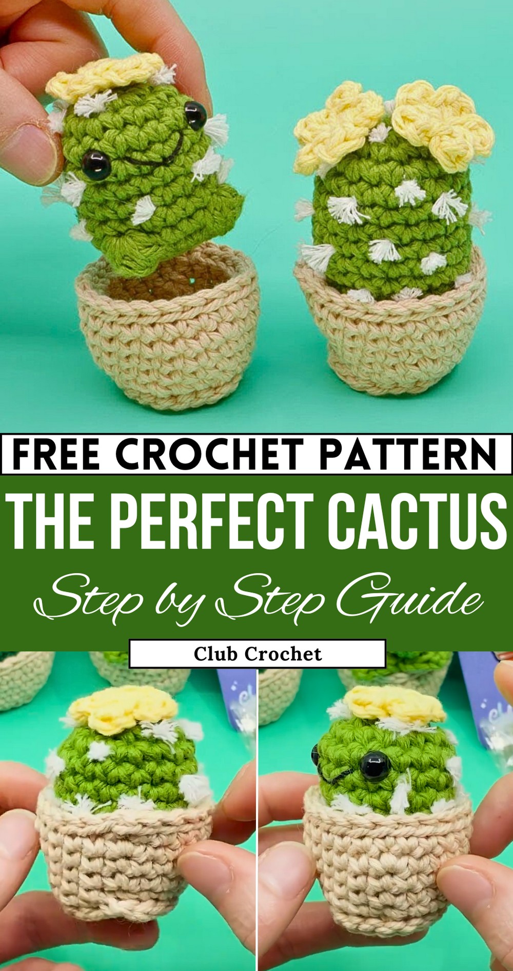 Beginner Cactus Crochet Pattern Full Step-By-Step Amigurumi Tutorial