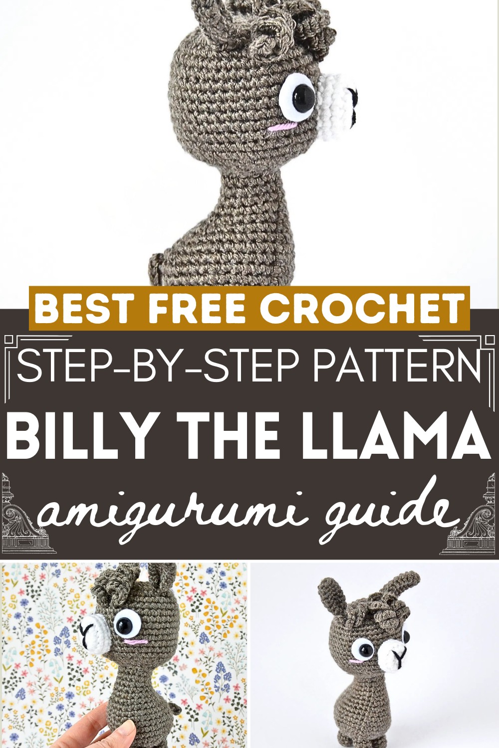 Billy the Llama